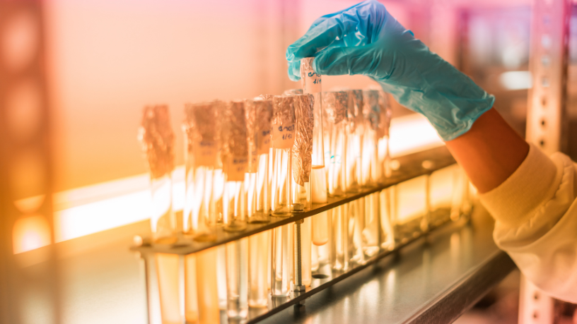 Biotecnologia no campo é produtividade inteligente — como destaca Aldo Vendramin.