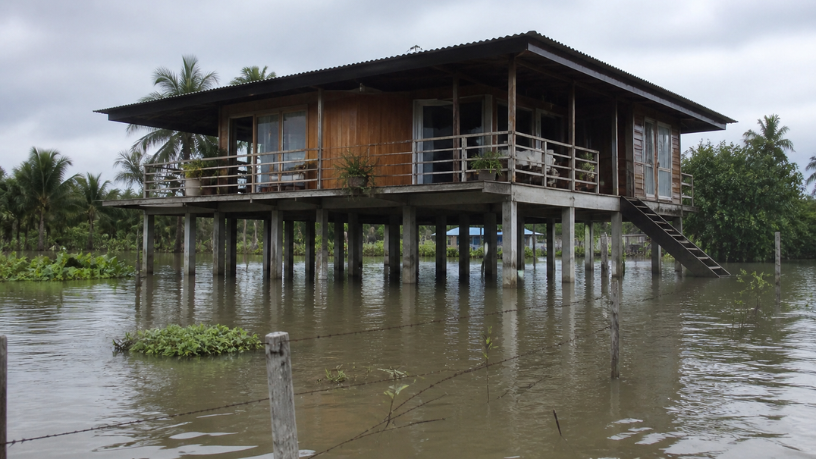 Arquitetura para alagamentos: soluções inteligentes para construir com leveza em zonas de inundação